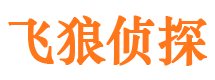 大兴市调查公司